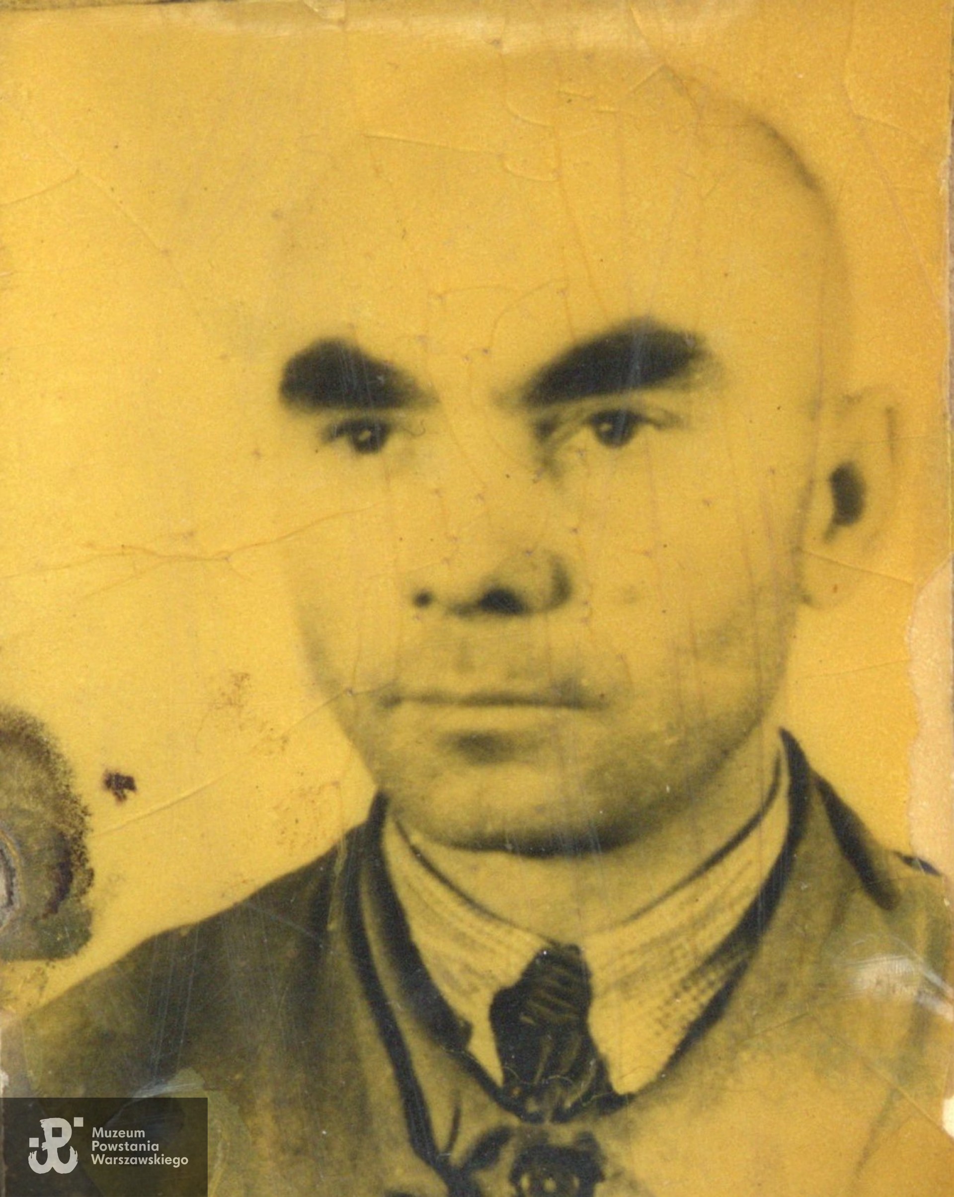 fotografia z okupacyjnego Werk-Ausweisa, zbiory rodzinne