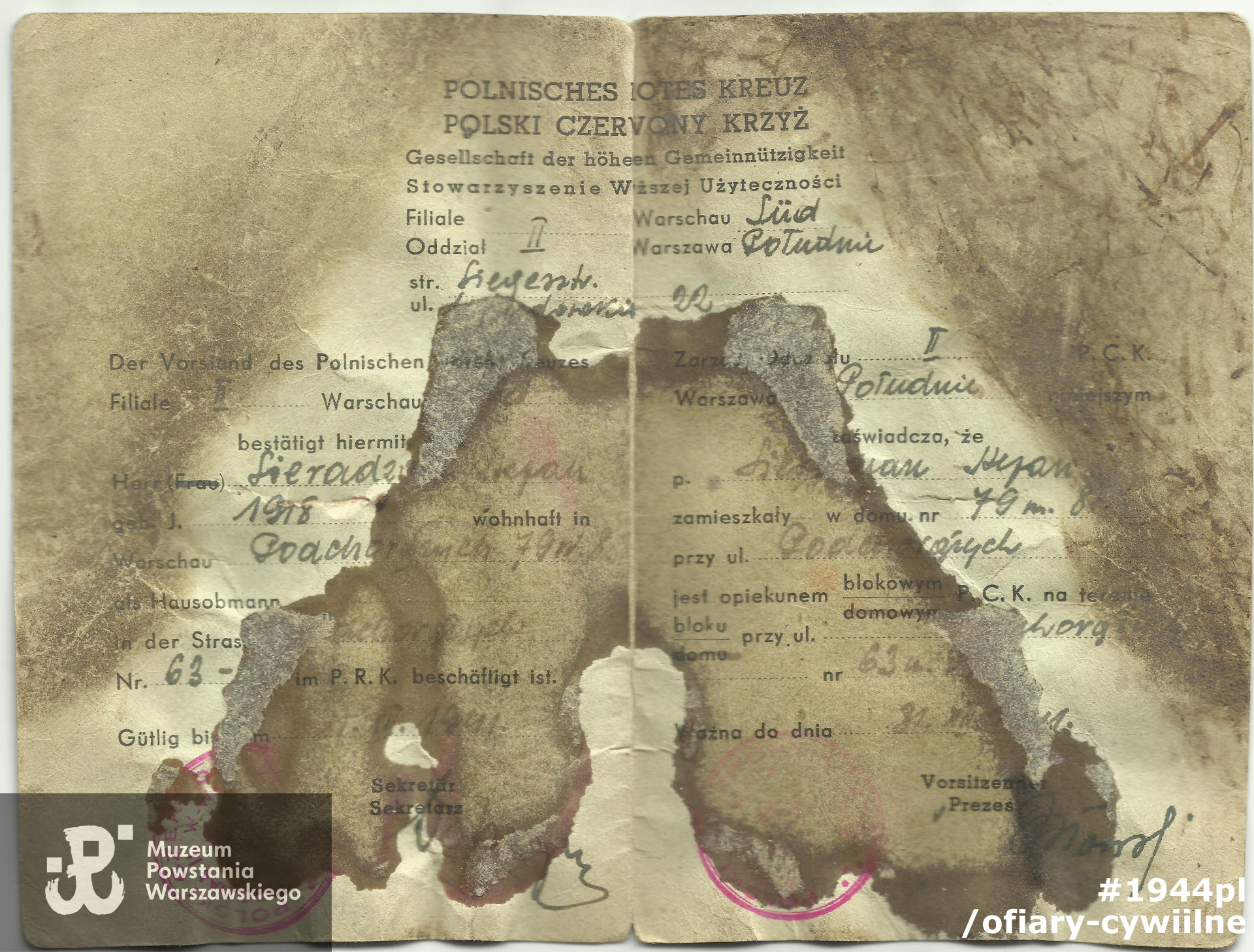 Legitymacja PCK należąca do Stefana Sieradzana (awers) udostępniona przez p. Dariusza Sieradzana