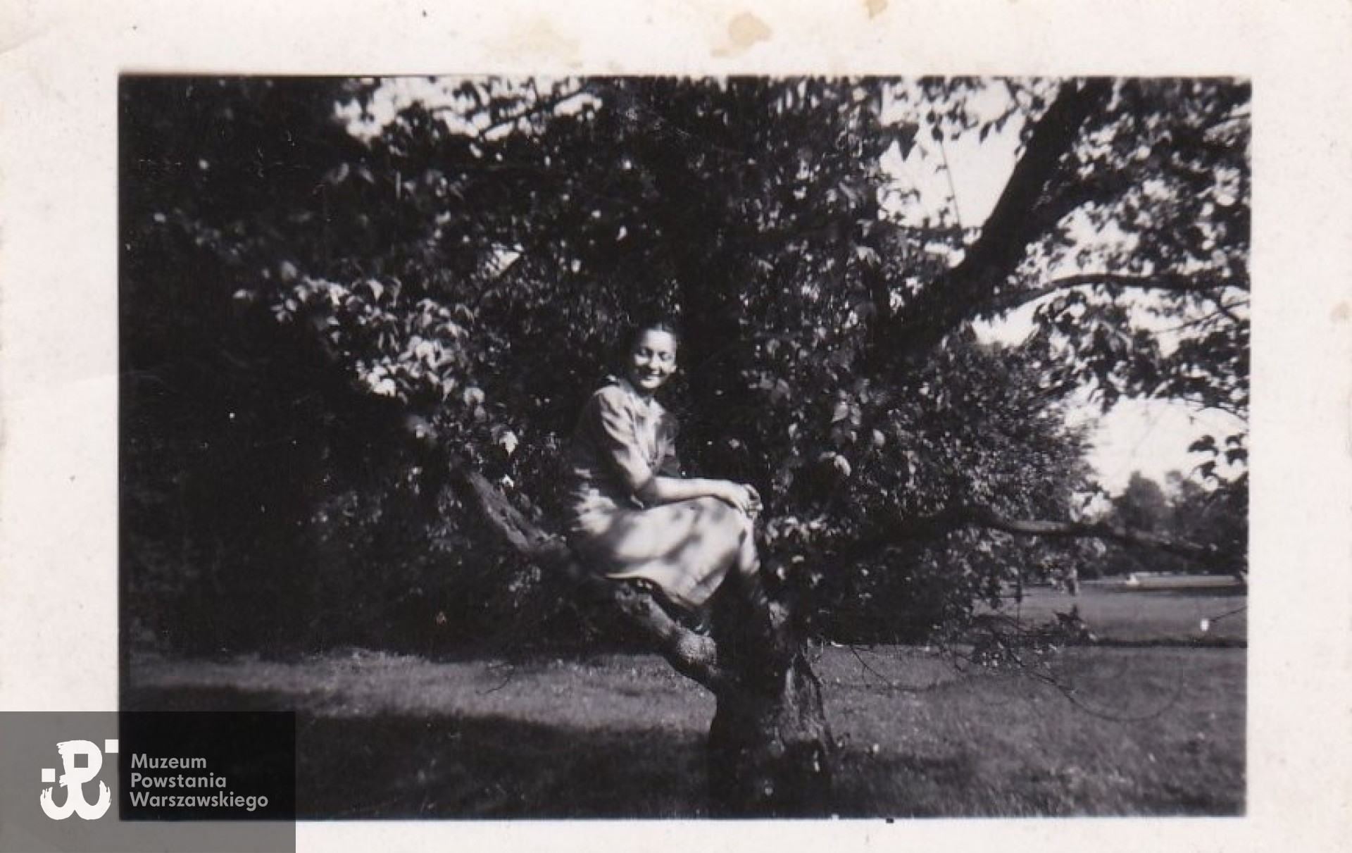 fotografię udostępniła Pani Barbara Brzezińska - Jońca