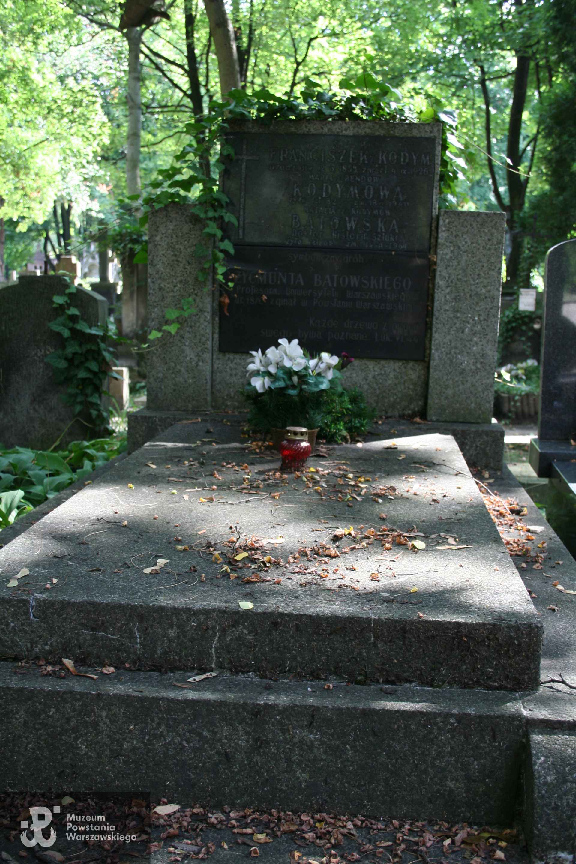 Grób symboliczny Zygmunta Batowskiego na Cmentarzu Powązkowskim (Stare Powązki) kw. 107, rz. 2, gr. 12, źródło Wikimedia Comonos