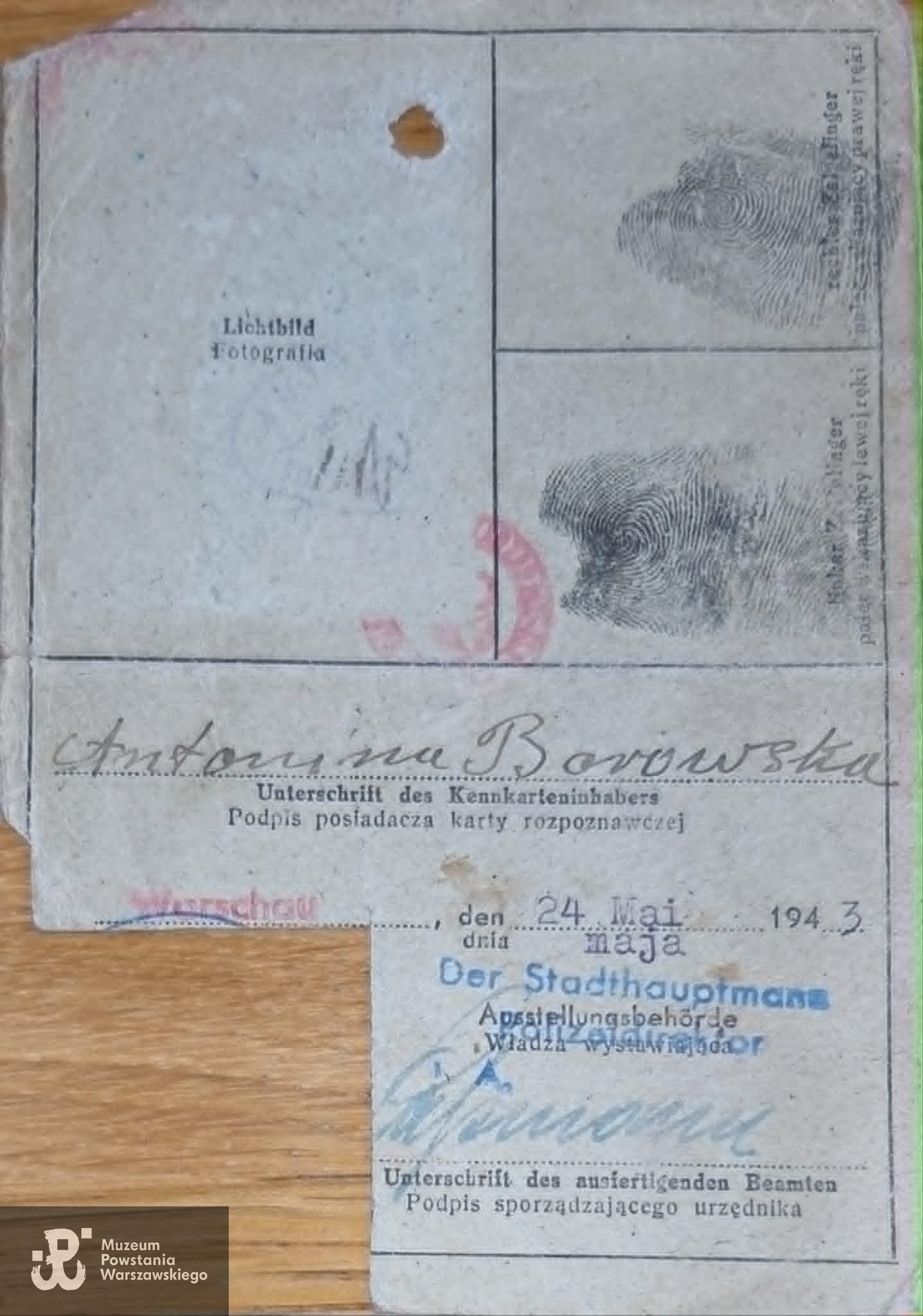 fragment okupacyjnej kenkarty Antoniny Borowskiej, zbiory rodzinne udostępnił p. Piotr Blak