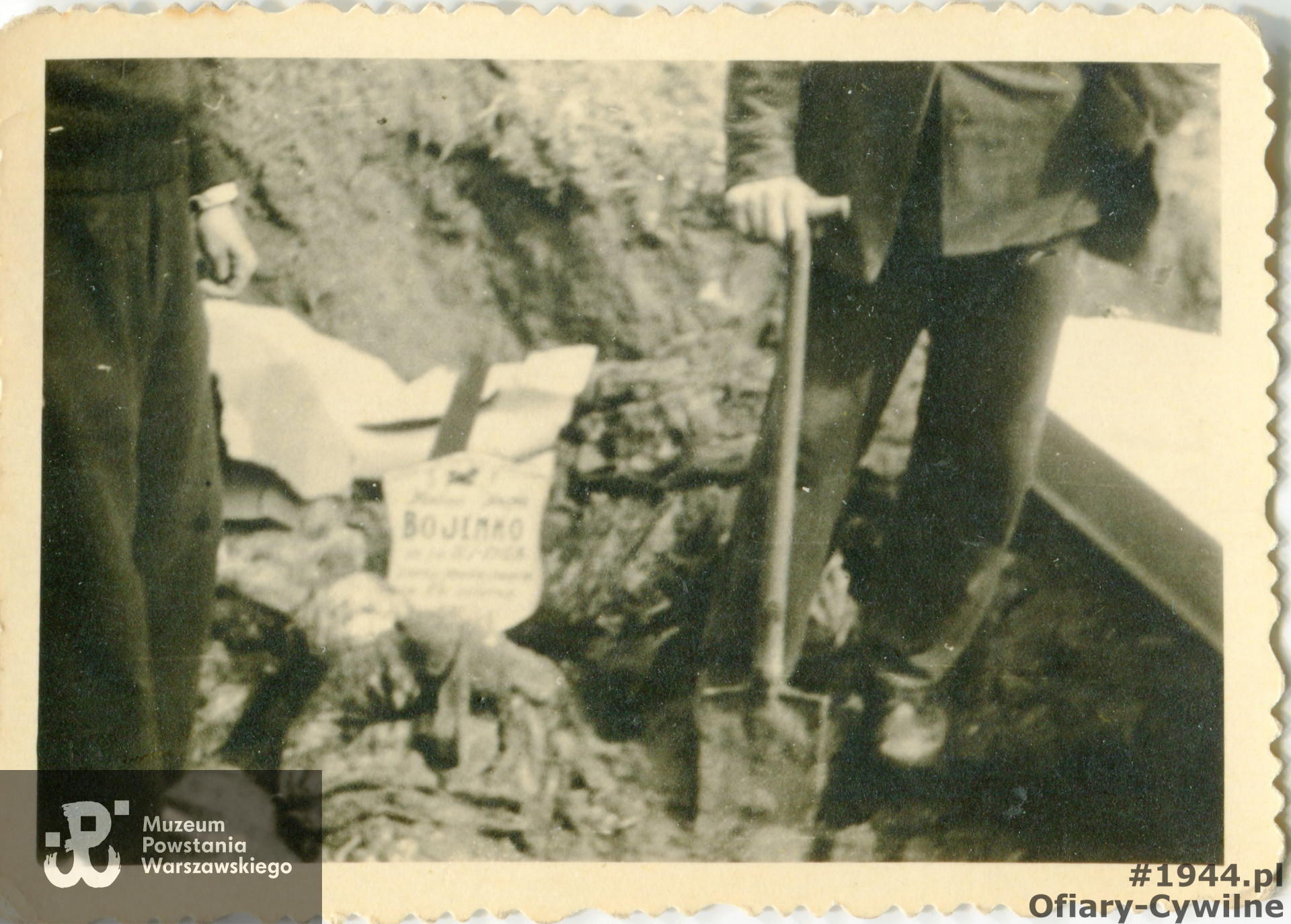 Zdjęcie z ekshumacji Haliny Bojenko z Rynku Nowego Miasta, ze zbiorów pani Marioli Kudrycz