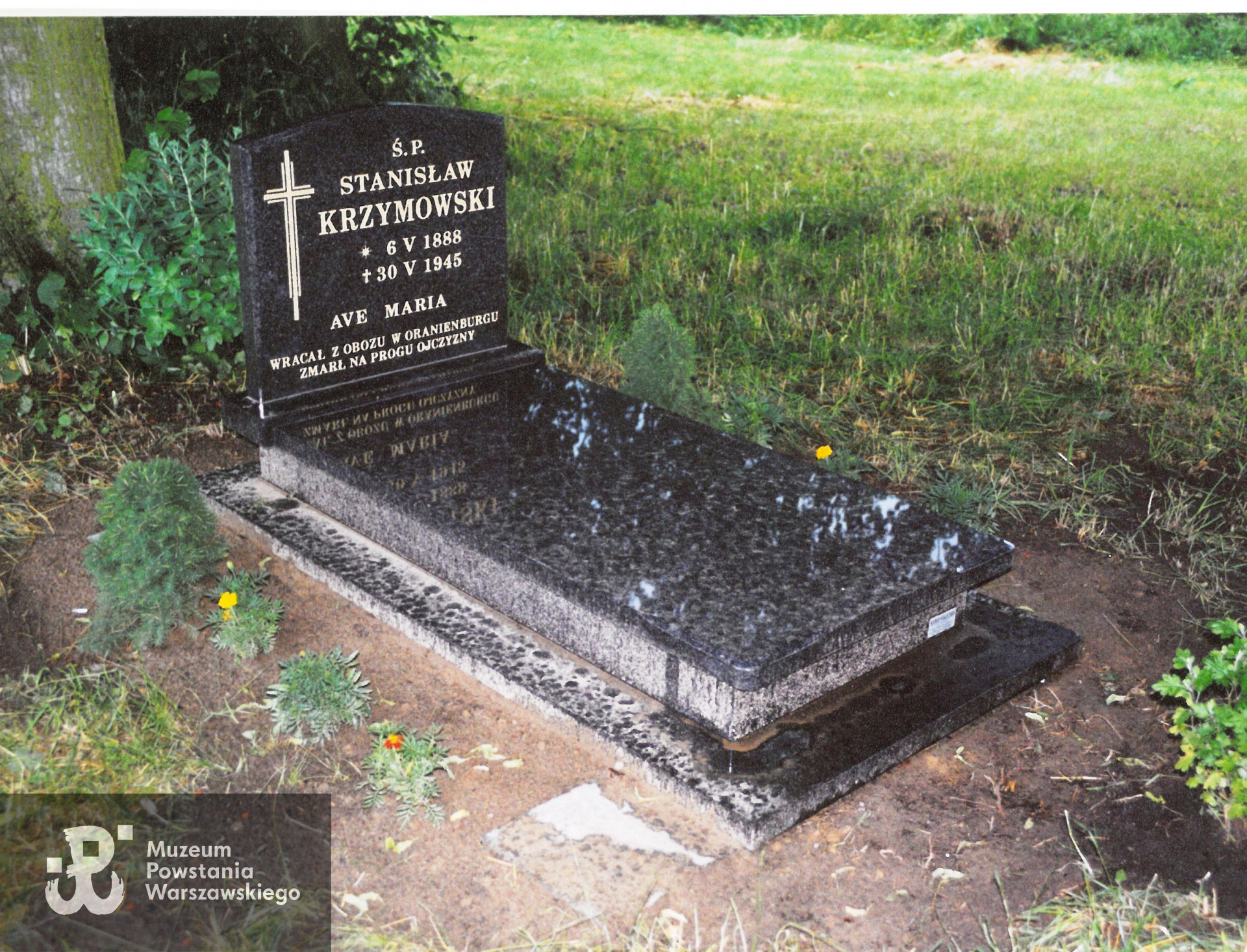 Grób Stanisława Krzymowskiego na Cmentarzu w Pacholętach, fotografię udostępnił Pan Grzegorz Chabowski