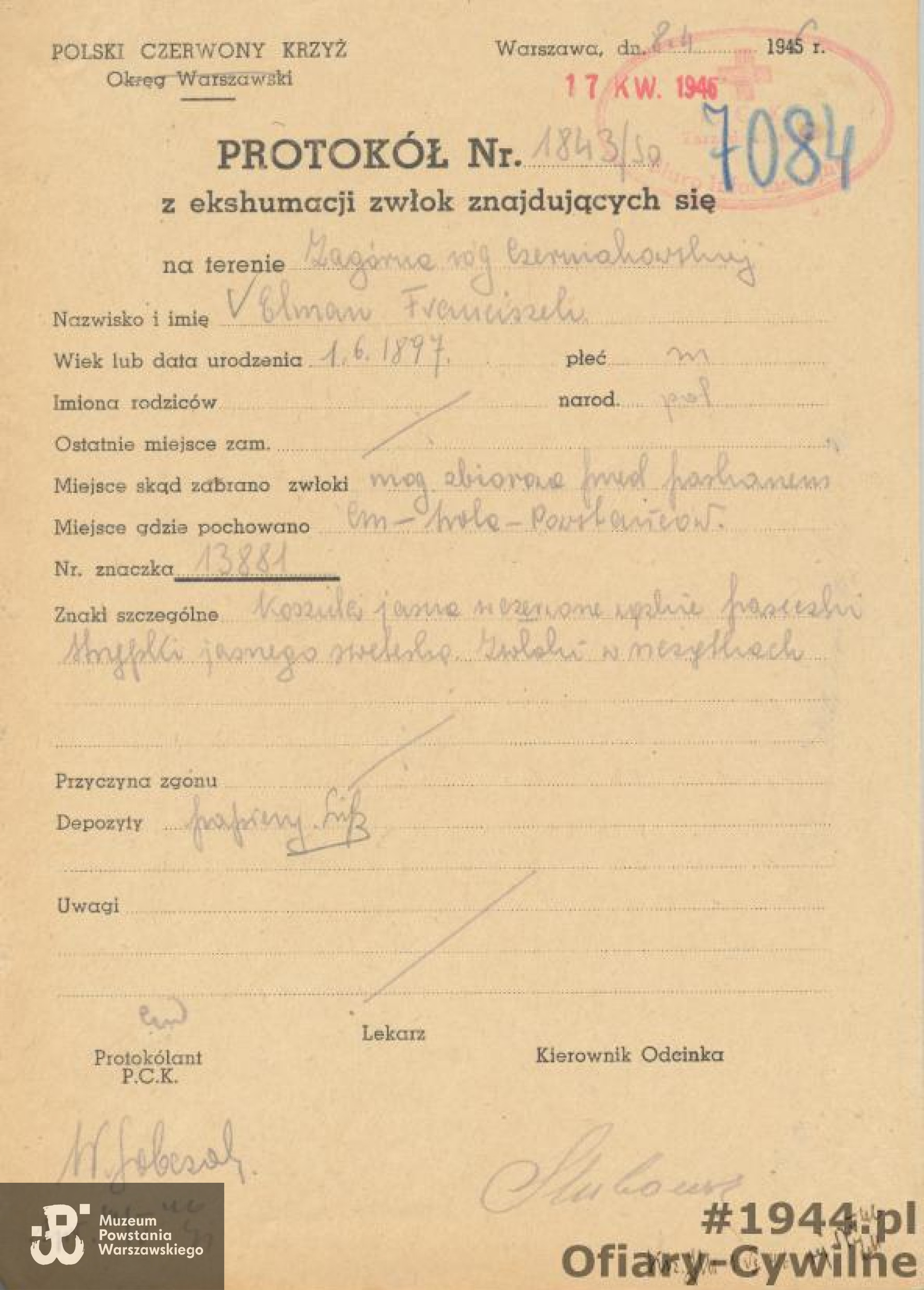 Protokół z ekshumacji z ul. Zagórnej r. Czerniakowskiej na Cmentarz Powstańców dotyczący Franciszka Elmana, ze zbiorów Krajowego Biura Informacji i Poszukiwań PCK