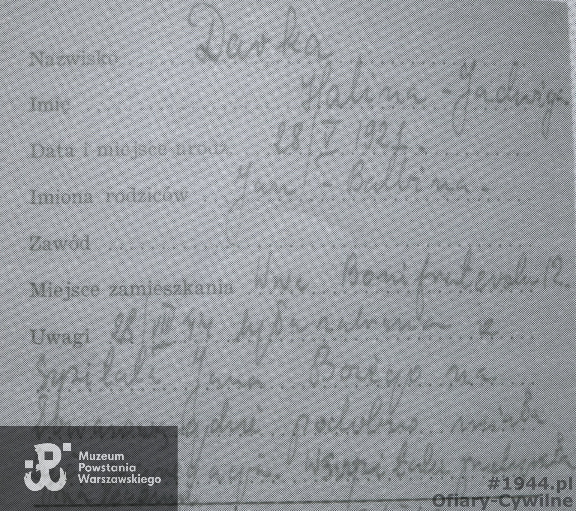 Kopia karty z kartoteki ogólnej dotycząca poszukiwań Haliny przez brata Henryka, ze zbiorów Krajowego Biura Informacji i Poszukiwań PCK - Zarząd Główny