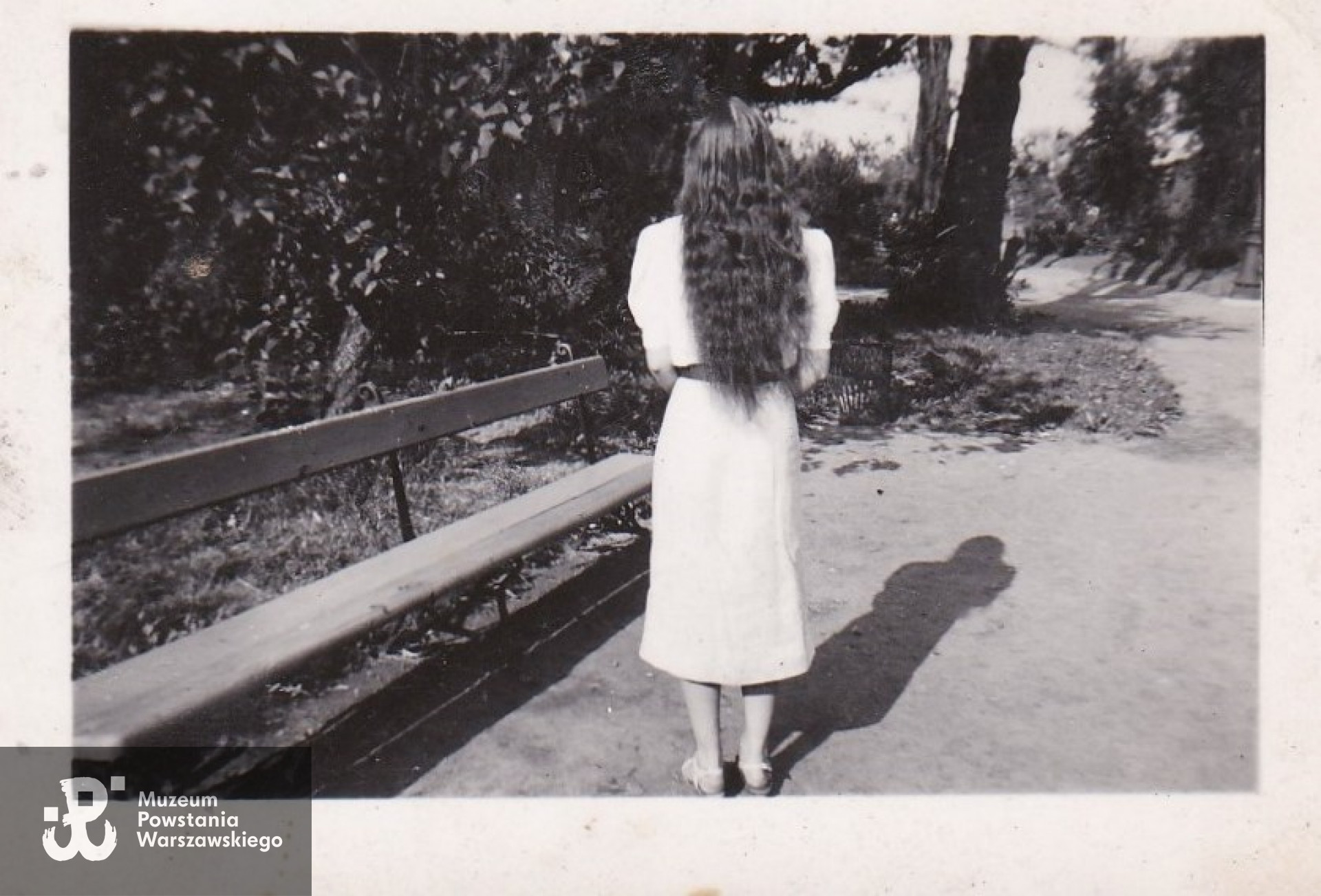 fotografia wykonana w Ogrodzie Saskim udostępniła Pani Barbara Brzezińska - Jońca