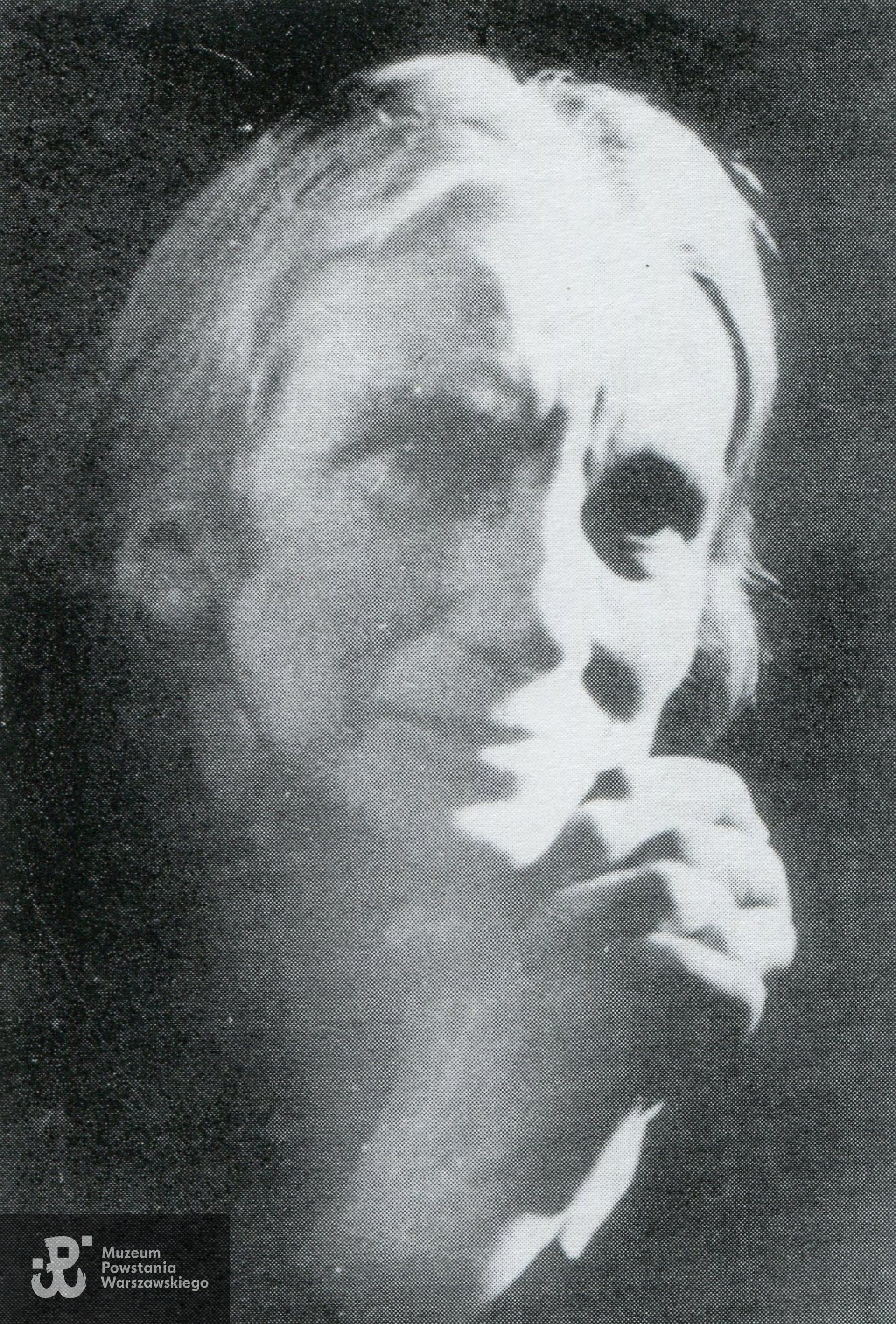 Jadwiga Kowalczykówna (1874-1944), zdjęcie pochodzi z książki „Szkoła na Wiejskiej” s. 409, Muzeum Historyczne m.st. Warszawy, 2007 Warszawa  wydanie II