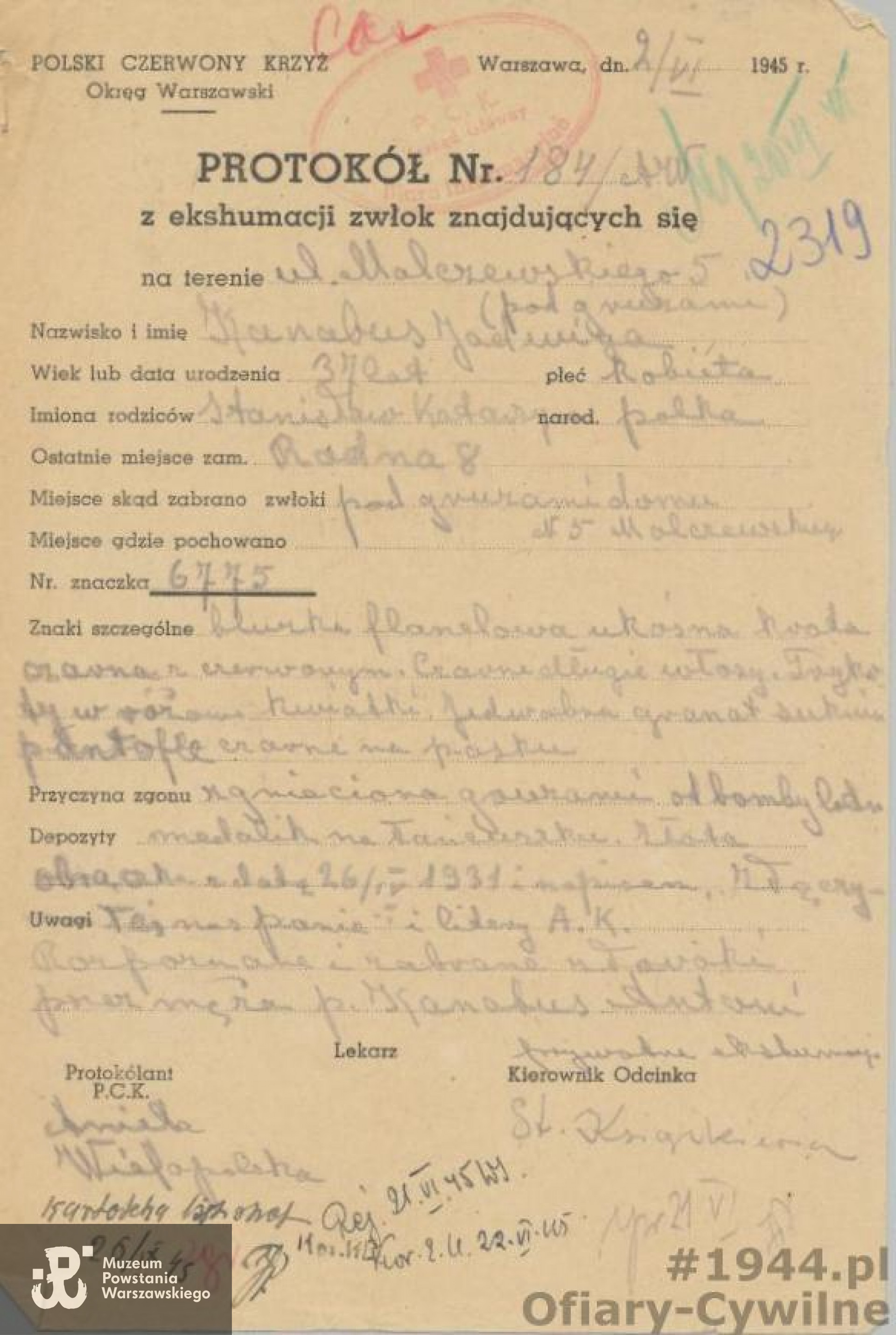 Protokół  z ekshumacji Jadwigi Kanabus z ul. Malczewskiego 5, ze zbiorów Krajowego Biura Informacji i Poszukiwań PCK