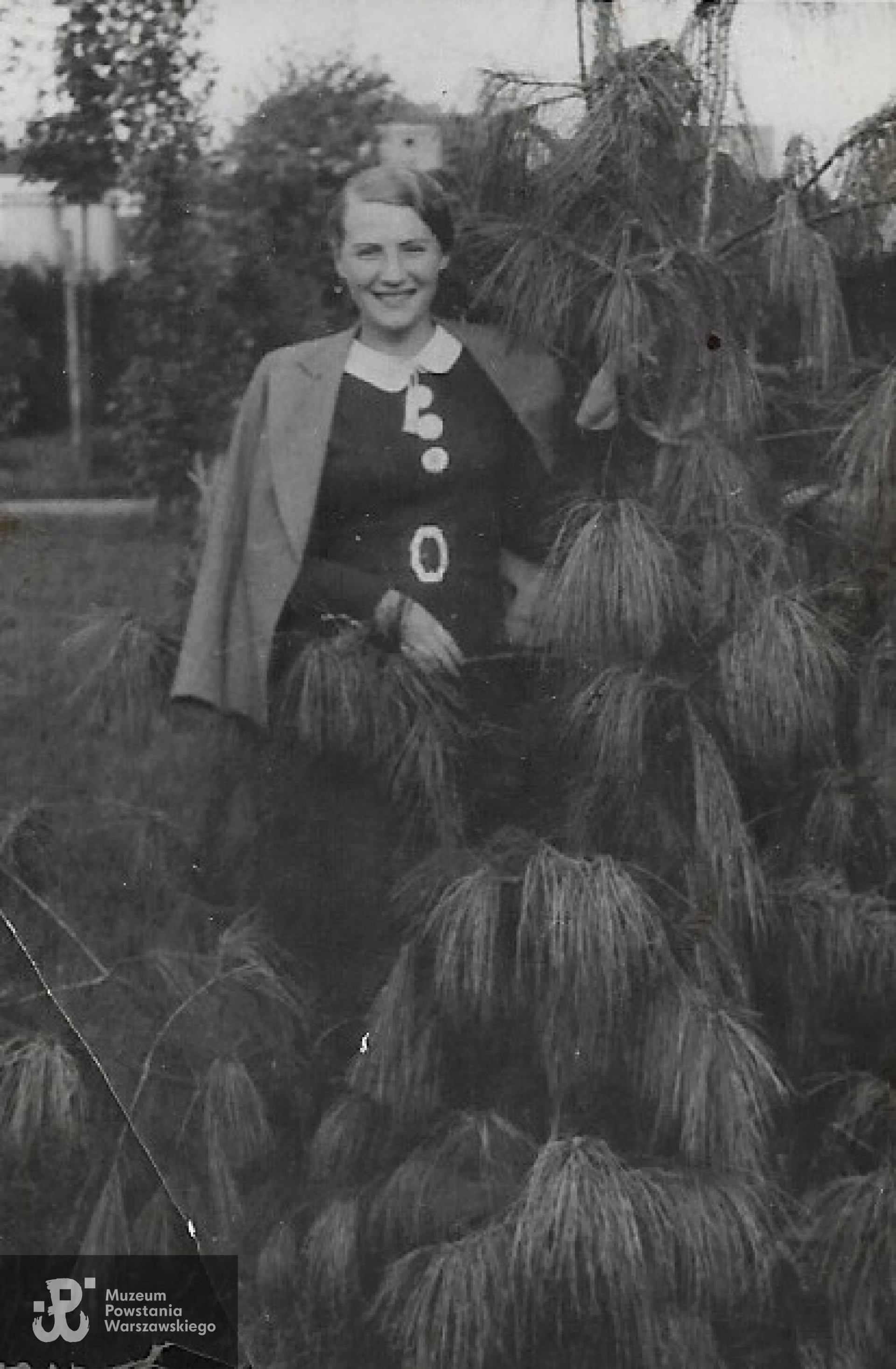 fotografię udostępniła p. Katarzyna Grabowska-Bilicka