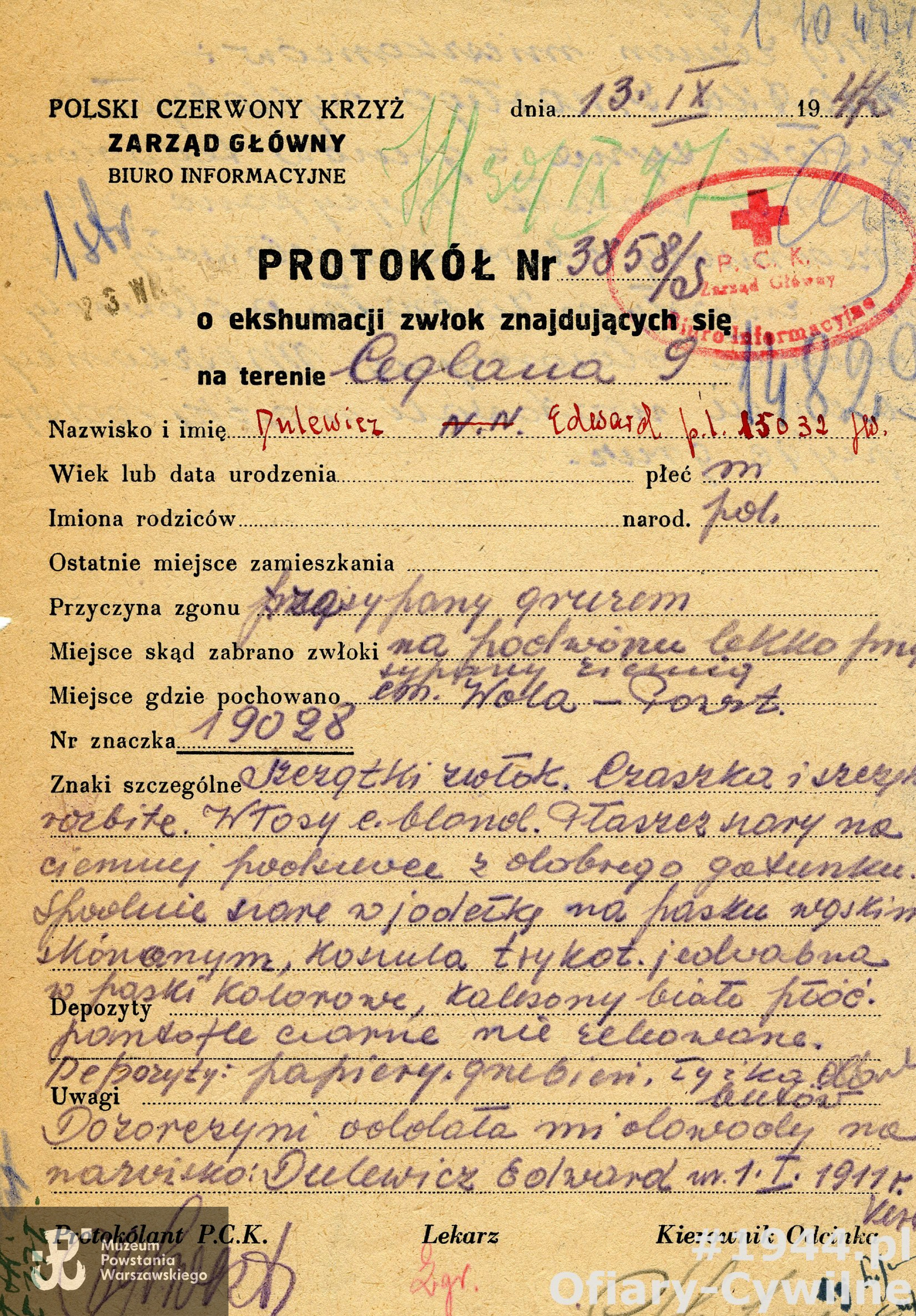 Protokół z ekshumacji Edward Dulewicza z ul. Ceglanej 9 na Cmentarz Powstańców Warszawy, ze zbiorów Krajowego Biura Informacji i Poszukiwań PCK lista strat 14829